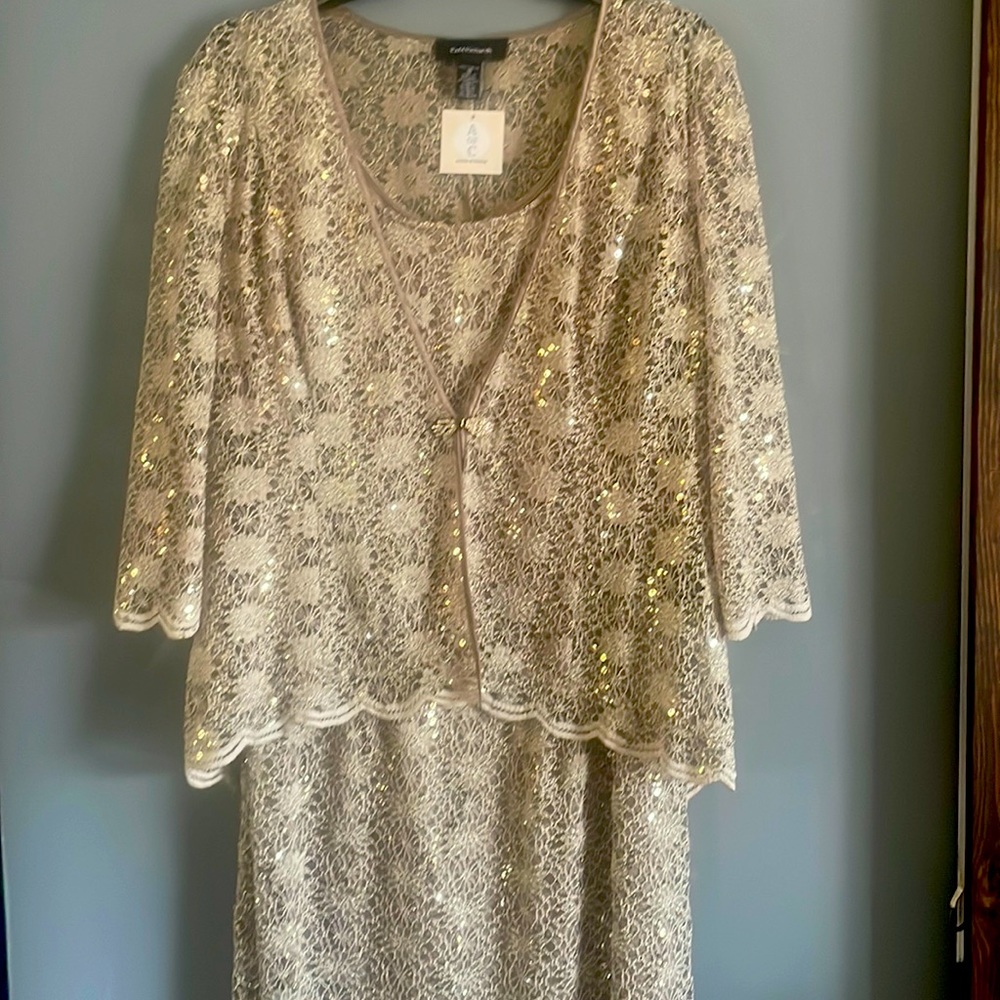 R&M Richards woman lace/sequence dress